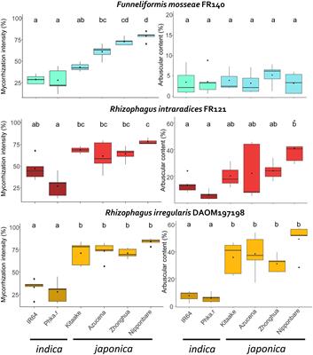 Symbiotic compatibility between rice cultivars and arbuscular mycorrhizal fungi genotypes affects rice growth and mycorrhiza-induced resistance